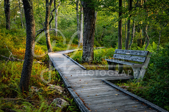 Wells Maine