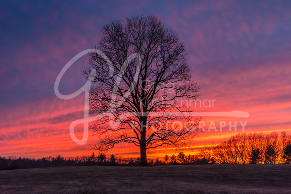 Rollinsford NH