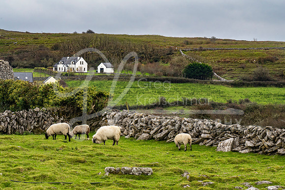 The Burren