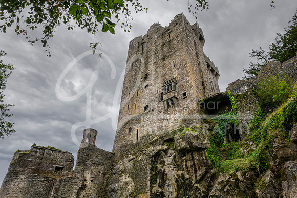 Blarney Castle