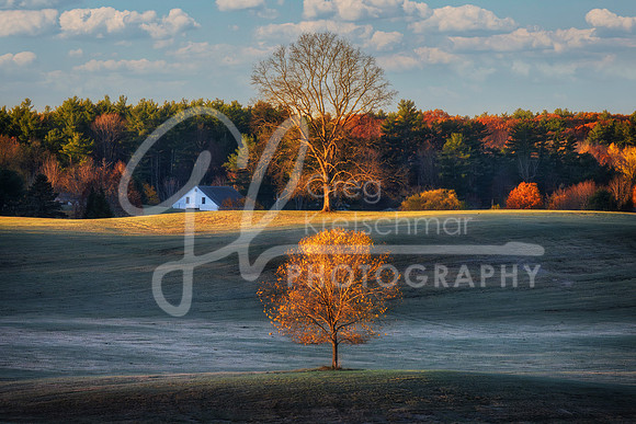 Rollinsford NH