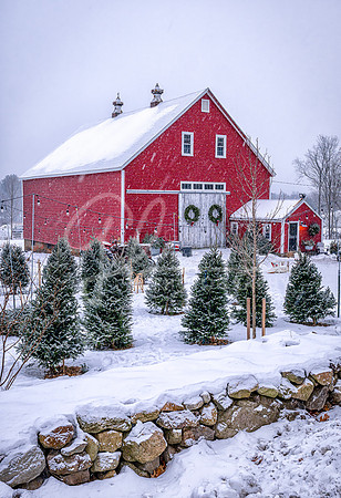 Dover NH