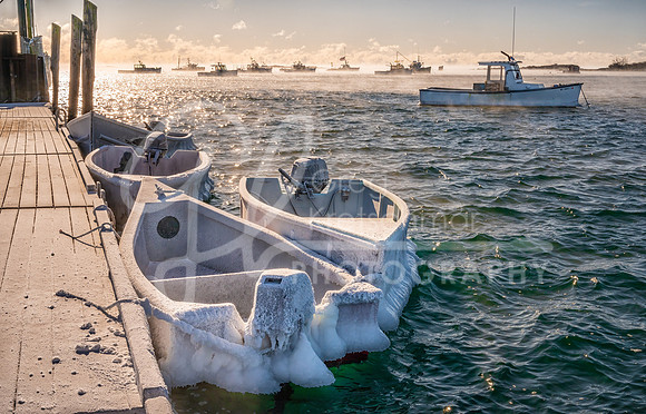 Cape Porpoise ME