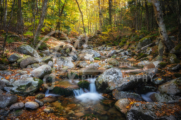 Franconia Notch NH