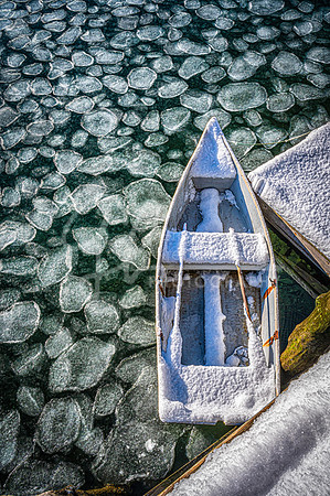 Back Cove, Bristol ME