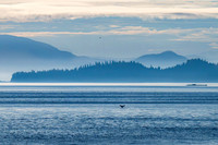 Alaska, Pacific Northwest