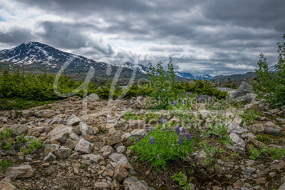 British Columbia Canada