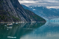 Dawes Glacier, Endicott Arm Fjord, Southeast AK