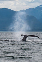 Juneau AK