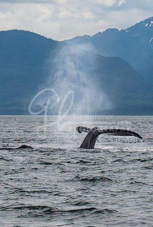 Juneau AK