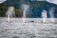 Juneau AK