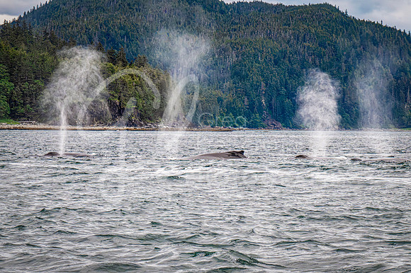Juneau AK