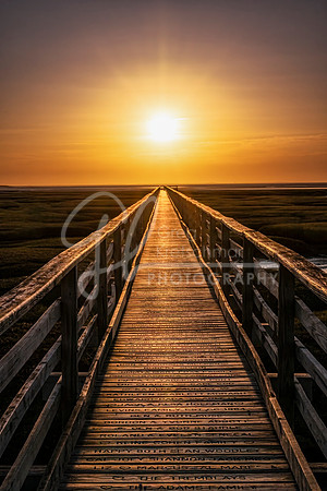 Yarmouth Port MA