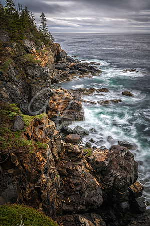 Acadia National Park, Mt Desert Island ME.