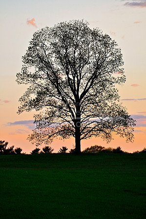 Rollinsford NH