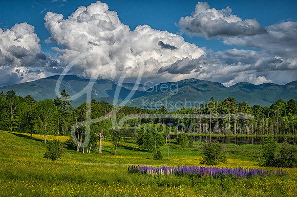 Sugar Hill NH