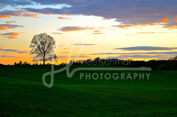 Rollinsford NH