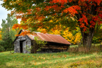 Whitefield NH