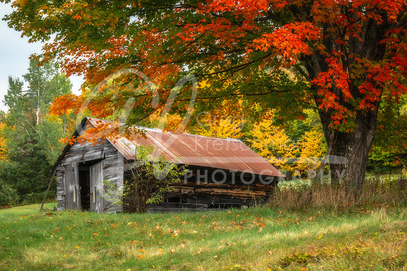 Whitefield NH