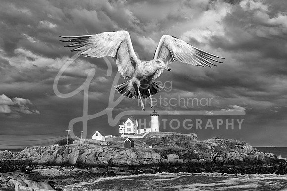 Cape Neddick ME