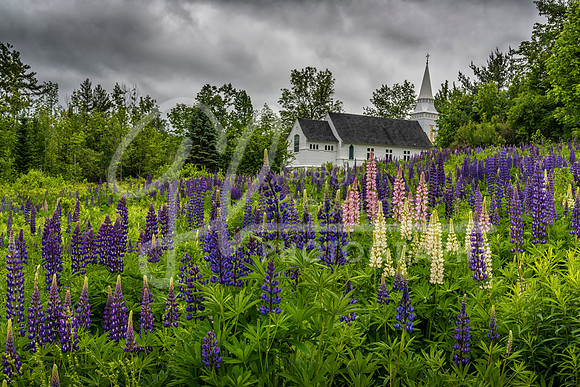 Sugar Hill NH