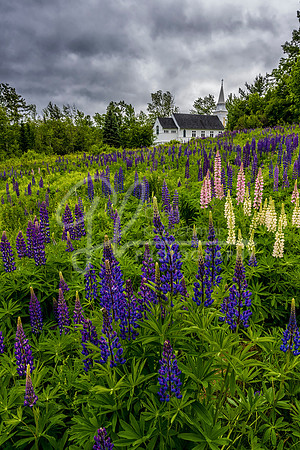 Sugar Hill NH