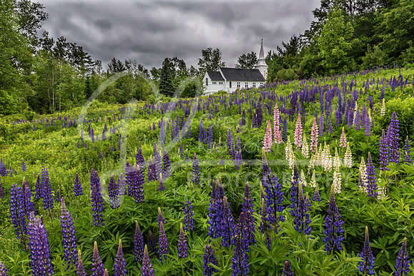 Sugar Hill NH
