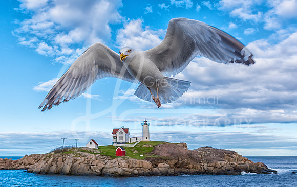 Cape Neddick ME
