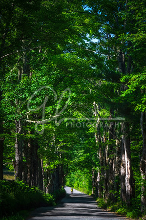 Sugar Hill NH