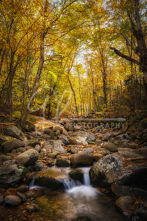 Franconia Notch NH