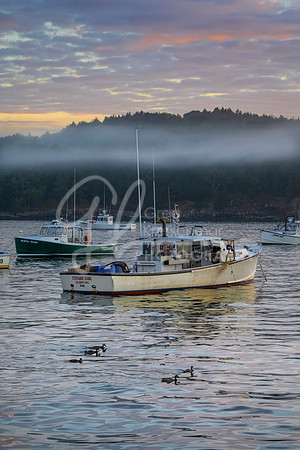 Bar Harbor ME