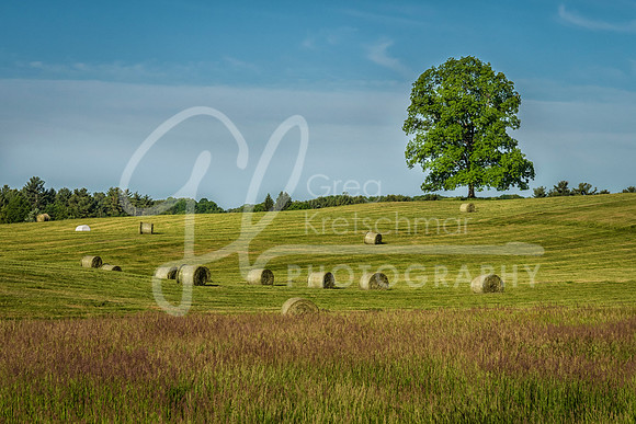 Rollinsford NH