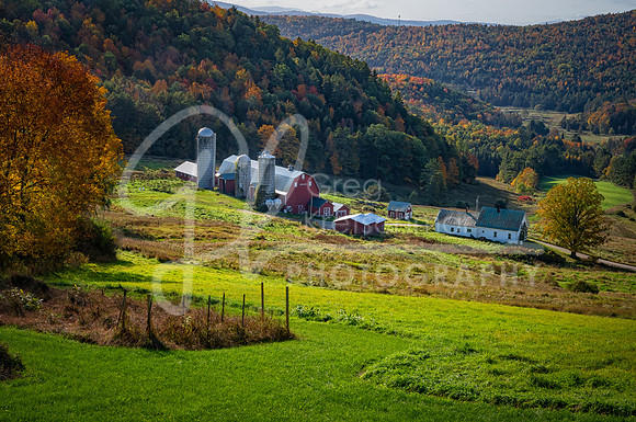 Barnet VT