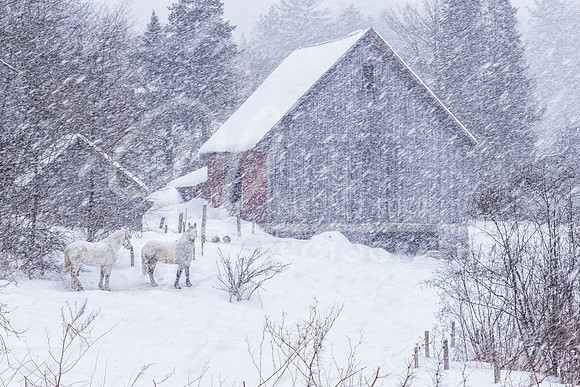 Woodstock VT