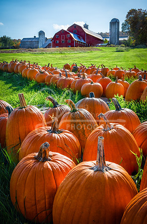 Barnett VT