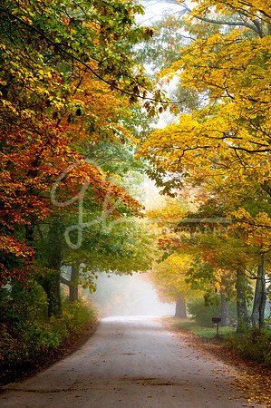 New Durham NH