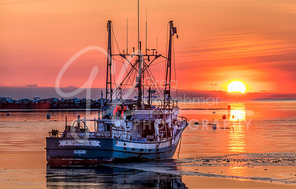 Rye NH
