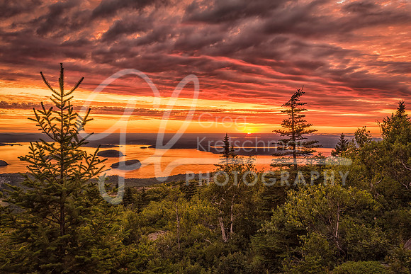 Cadillac Mountain Sunrise, Acadia National Park