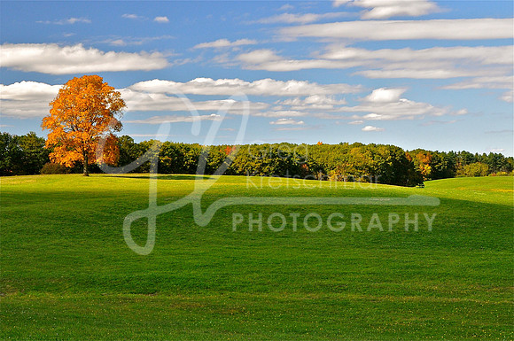 Rollinsford NH