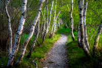 Acadia National Park, ME