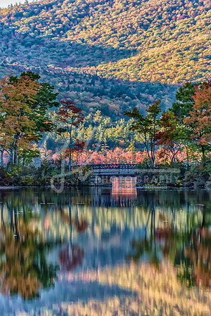 Tamworth NH