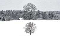 Rolinsford NH