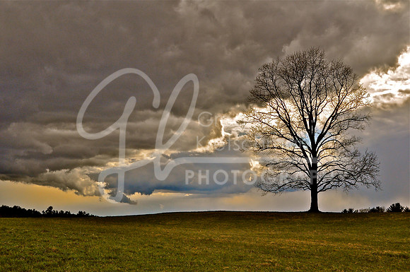Rollinsford NH