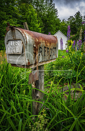 Sugar Hill NH